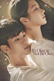It’s Okay to Not Be Okay (2020)